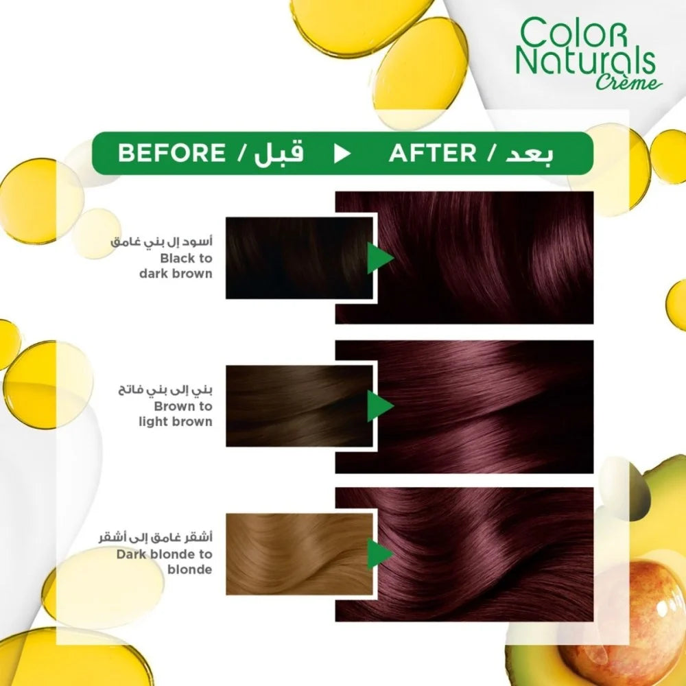 Garnier Color Naturals Hair Dye