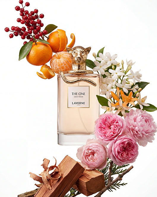 مجموعة ذا ون بيوتي